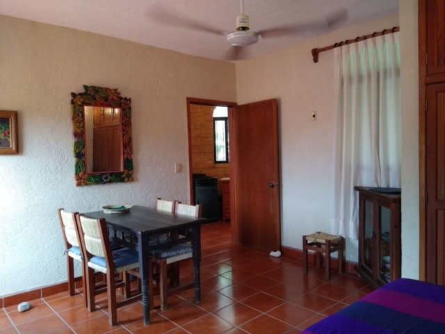 Damiana apartment at El Tamarindo