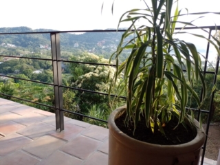 Terrace Zihuatanejo